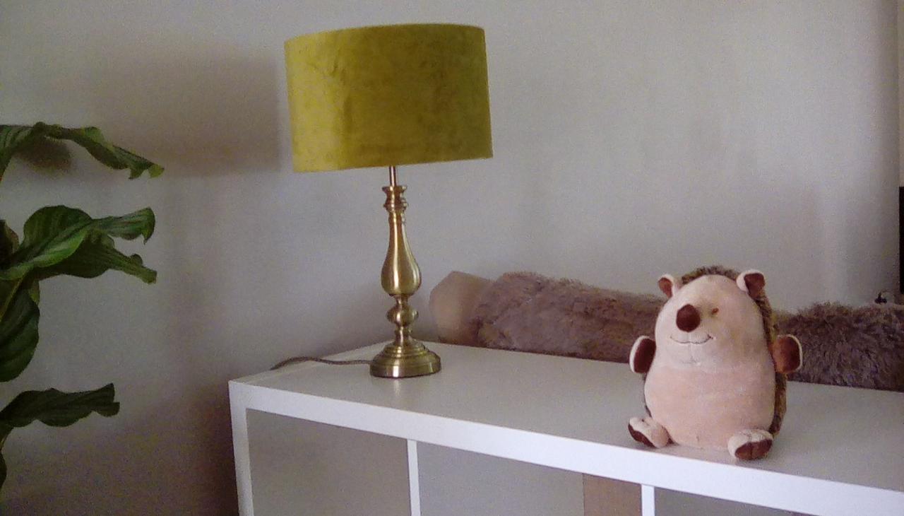 Forest Nook Villa Lydney Esterno foto